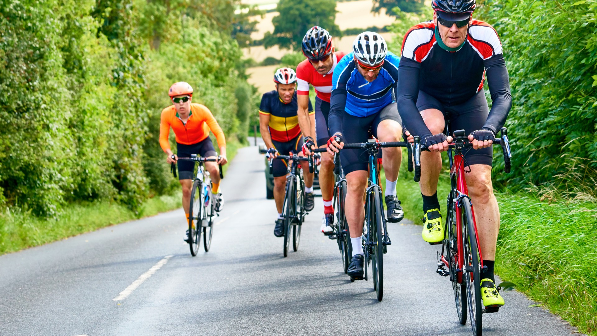 University programmes